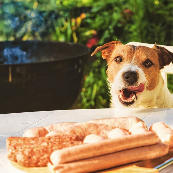 ワンちゃんBBQセット